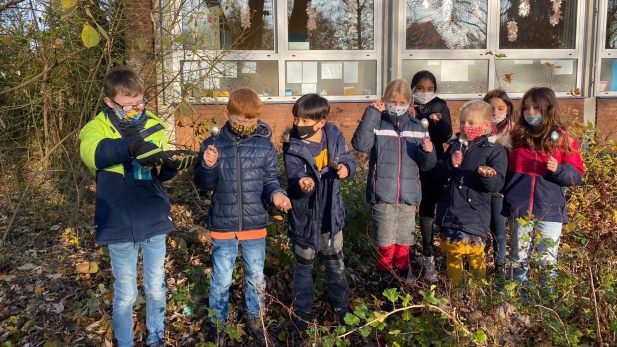 Blumenzwiebeln pflanzen